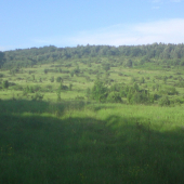 nadhera