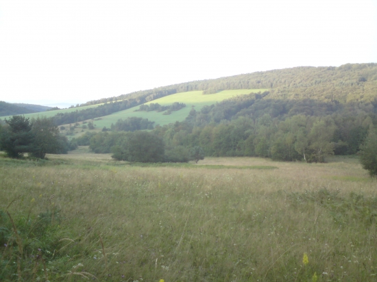 priroda