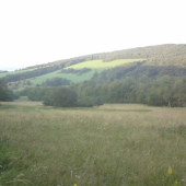 priroda