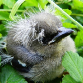 ...a hurá do života...