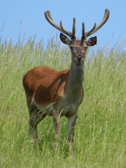 ked to von vyzeralo krajsie...