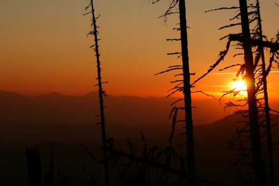 Západofka z drsných podmienok