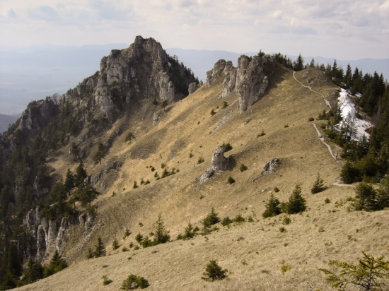 Ostrá