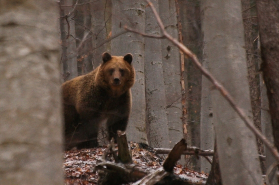 Zážitok spred dvoch rokov