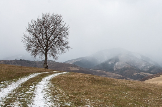 Snežíííííííííí...