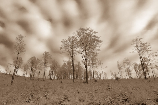 Najchladnejšie ráno tejto zimy...