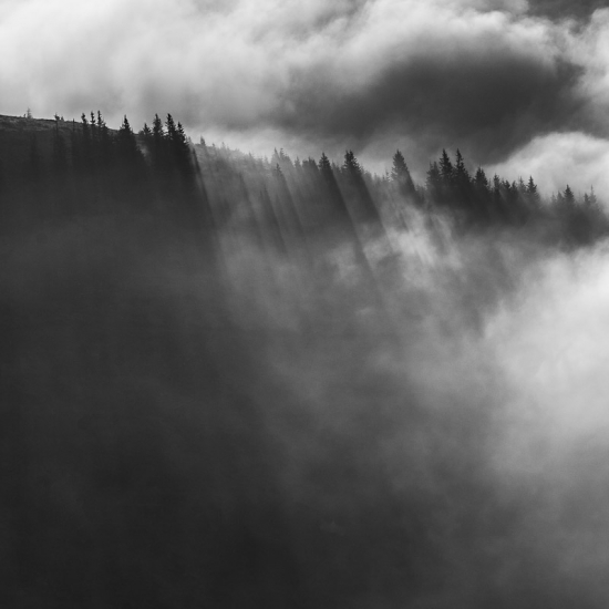 Jedno nádherné ráno...