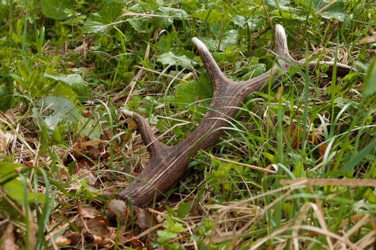Šiesty v živote...