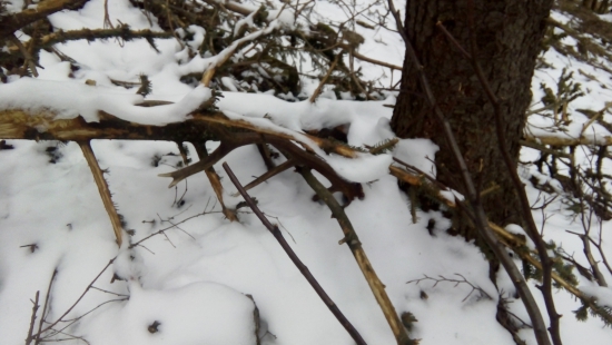 dnesny zhod 14-toraka