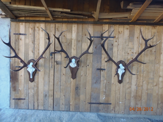 zhody na umelých lebkach