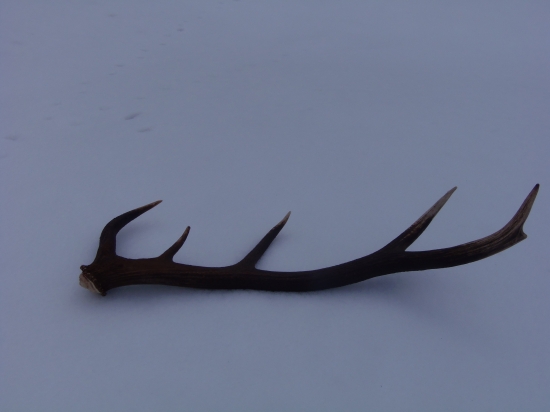 prikrmovať sa oplatí