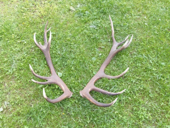 po dlhšom čase opäť spolu