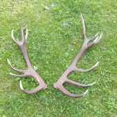 po dlhšom čase opäť spolu