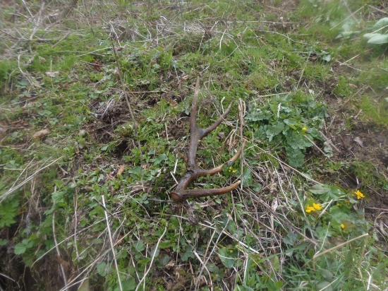 dnešný,ale minuloročný