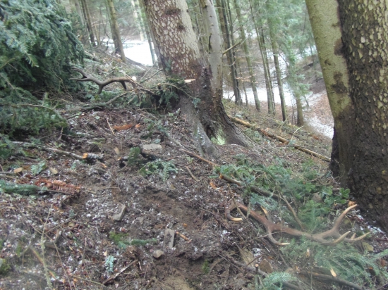 nepravidelný štrnástorák