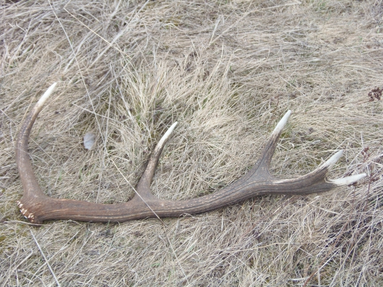 prvý z piatich dnešných