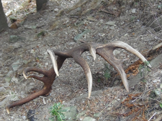 prvý zo šťastného dňa