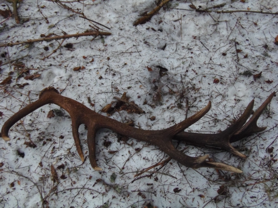 druhý zo šťastného dňa