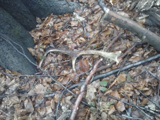 dnešna minuloročna osmička