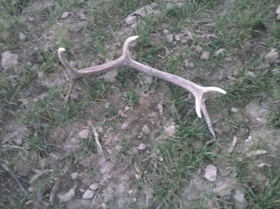 dnešny 10-torak do pary