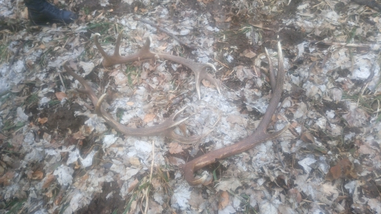 Parka 12, a jeden 8 toracik