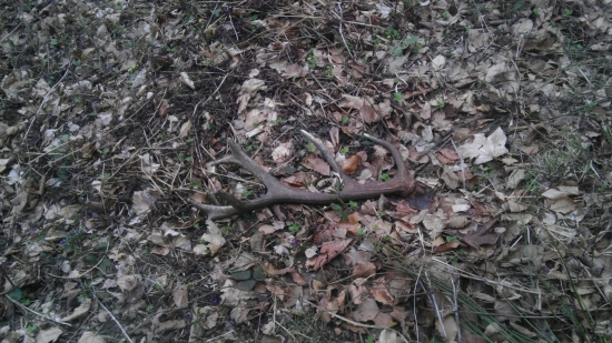 Aj na bielu sobotu sa podarilo