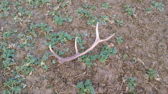 Tretí na veľkonocnú nedelu