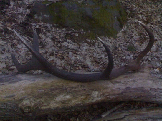 Můj nejsilnější shoz