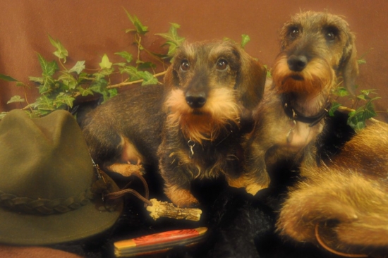 Ch.s. Z Floriánova panství