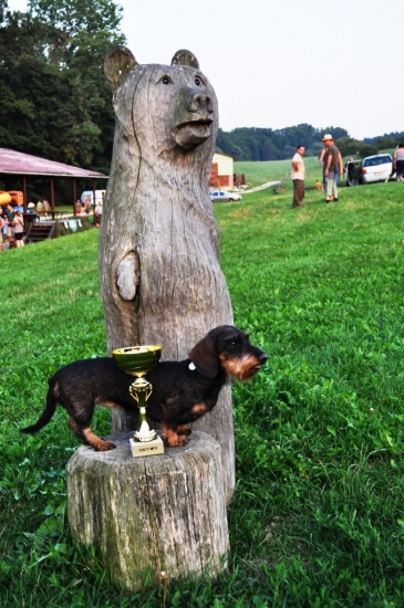 Ch. Štafetka Valentinka - MFV 2012 - CACT \