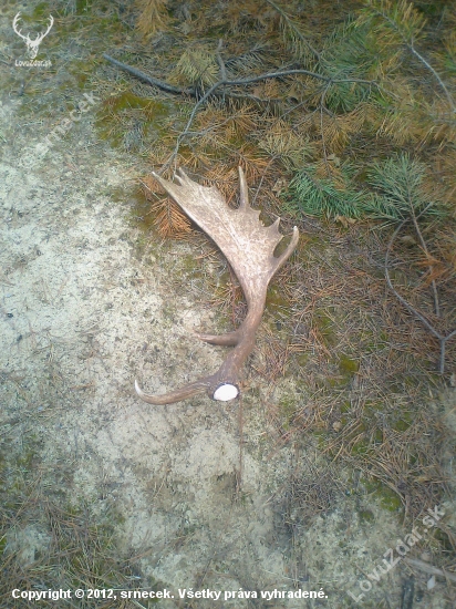 A dalši