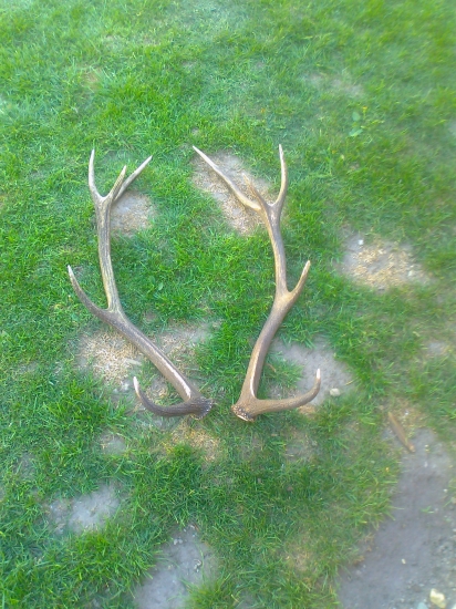 po roku  su spolu a pritom ležal par metrov  dalej