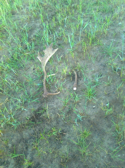 mali a velky kamarat