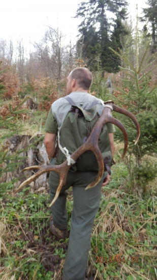 hora dala paroha a ide sa domov