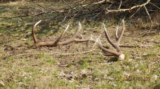 ID231850 takto ma čakali