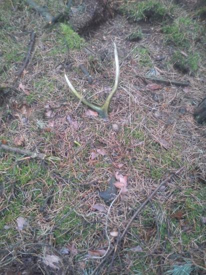 tak ten ma tu dlho a trpezlivo čakal