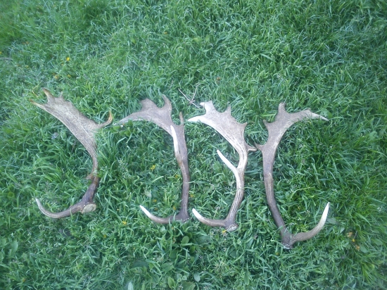 dnes za necelú hodinu