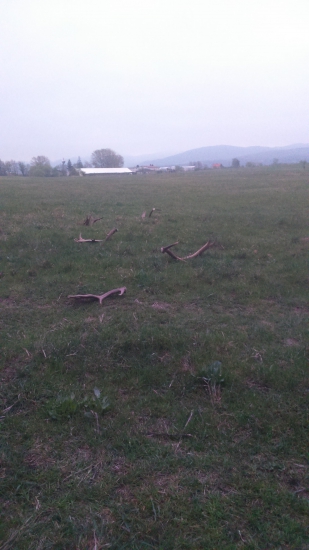 poobednajšia siesta