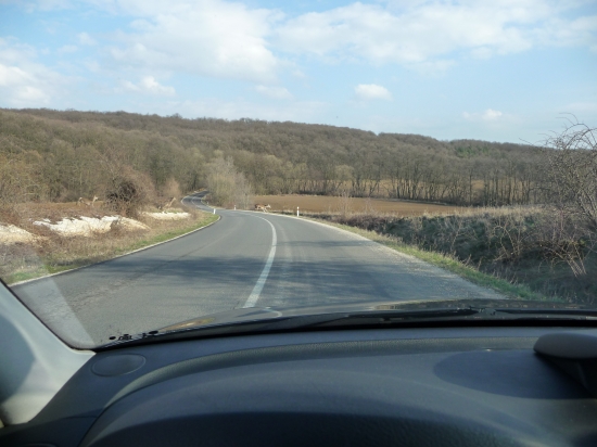 Daj prednosť skokanom...