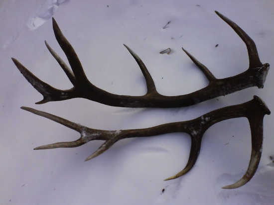 Pri sebe len škoda že nie pár :))