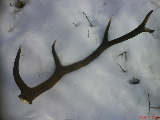 Ešte najsť pár :))