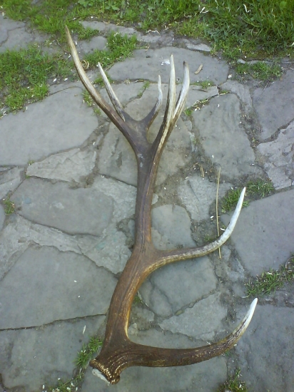 14-torák ako namaľovaní :))