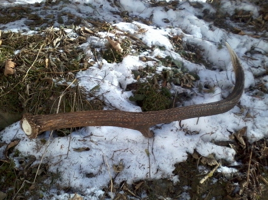 Takto tam bol zapichnutí :)))