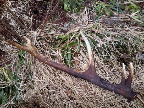 Další maskovaní :)))