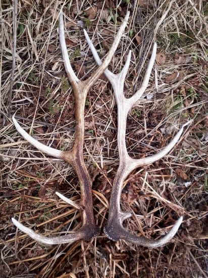 Tak tu je tá pára :)))