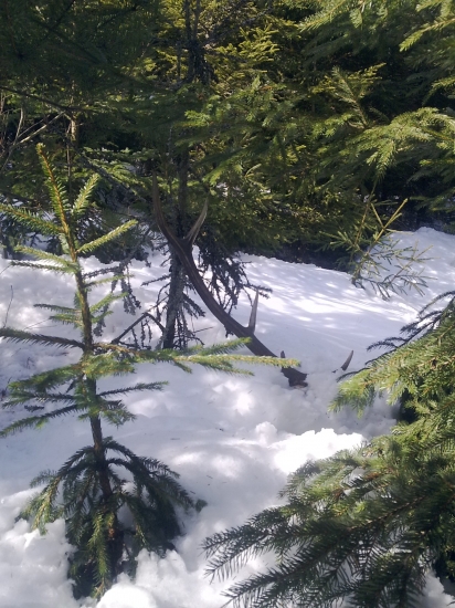 Najkrajší pohľad :)))