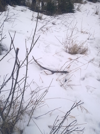 Najkrajší pohľad :)))