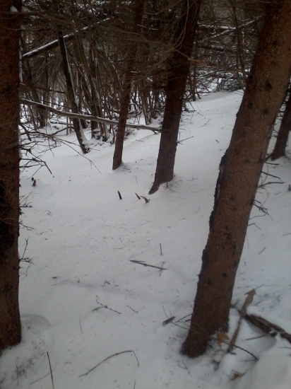 A mám ťa krásny 12-torák :)))