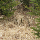 Tak srdiečko zabušilo :)))