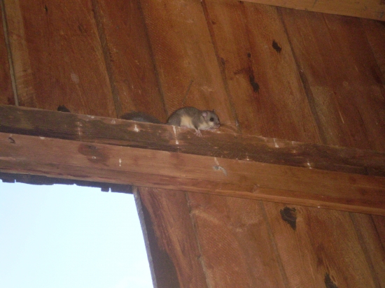 Prekvapenie na posede